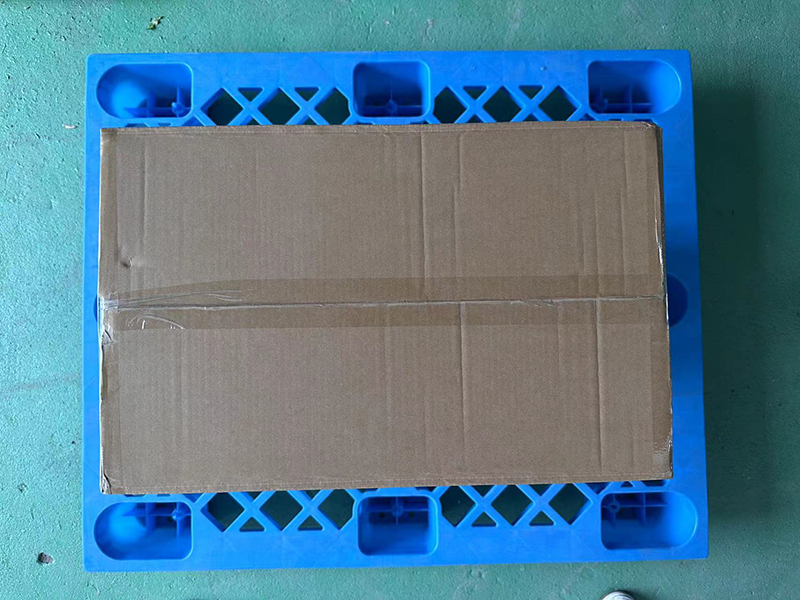 Stand and Export Carton (2)